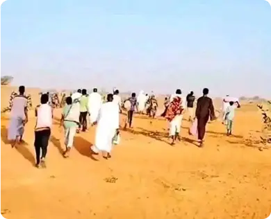 أنشطة المبادرة